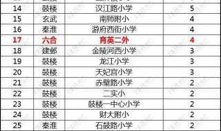 南京一中明发滨江分校 南京一中明发滨江分校